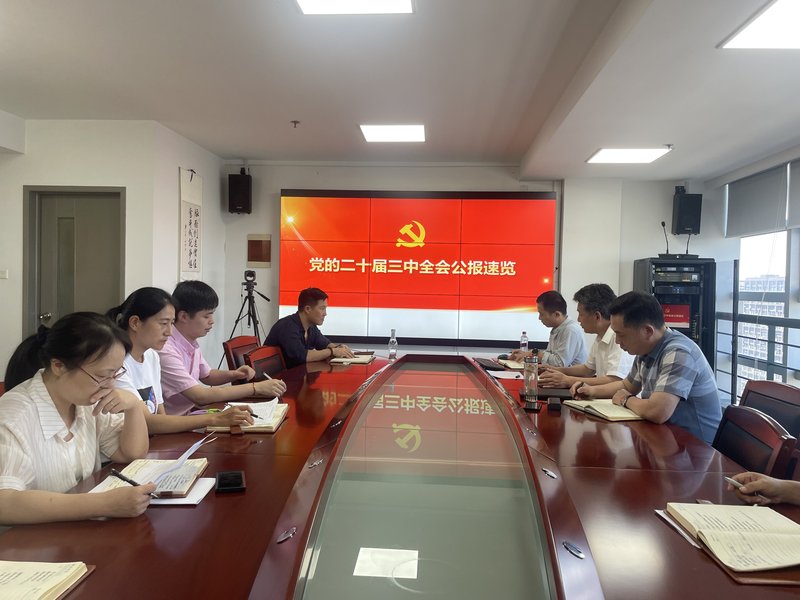 三中全会